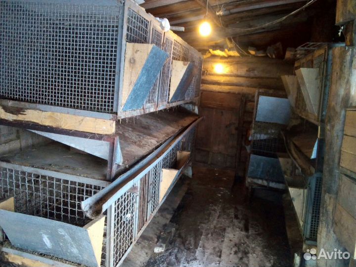 Клетки для животных