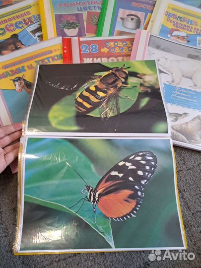 Наглядное пособие