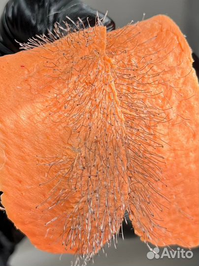 Шугаринг Воск Депиляция Обучение