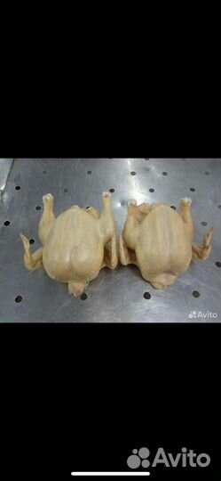 Куры бройлеры тушка