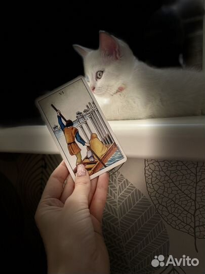 Гадание на картах таро