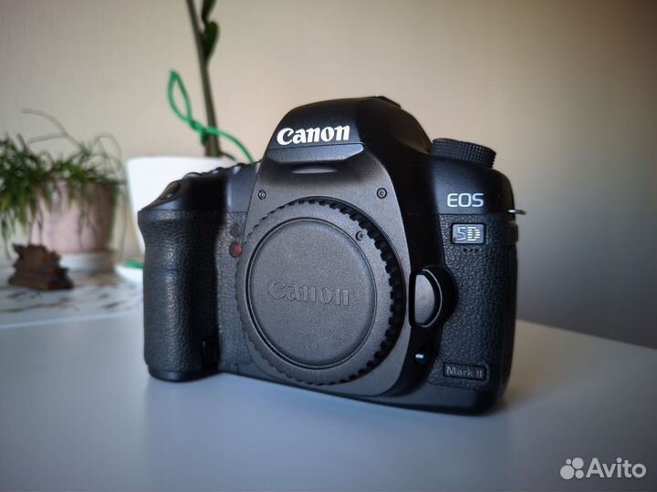 Canon 5D mark II