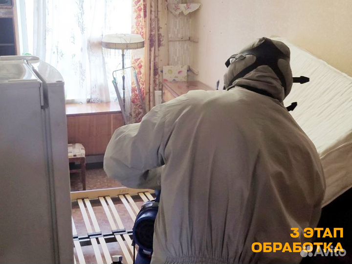 Уничтожение тараканов, клопов, клещей и муравьев