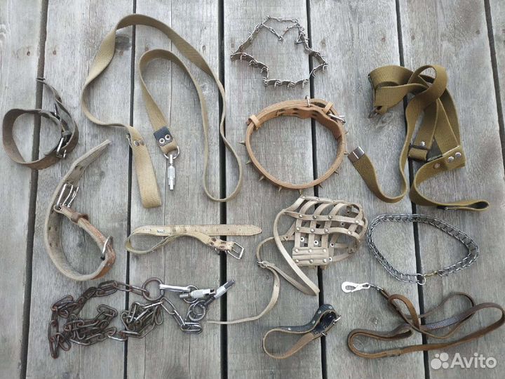 Товары для собак