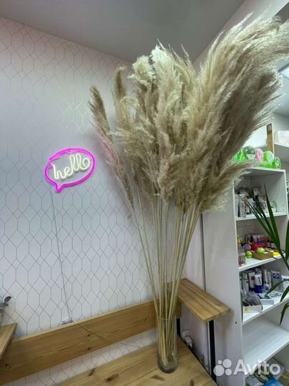 Пампасная трава