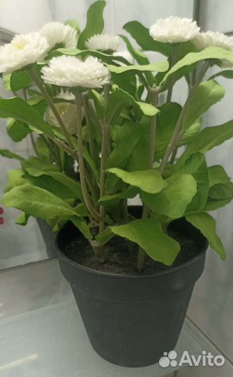 Кухонная утварь