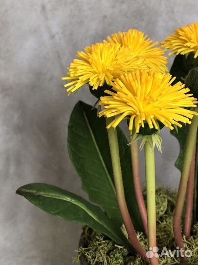 Поделка Одуванчики ручная работа