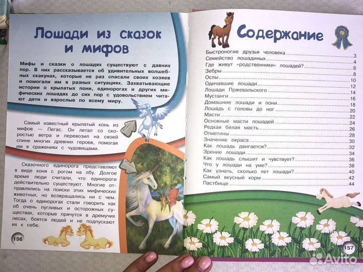 Книга Лошади и пони