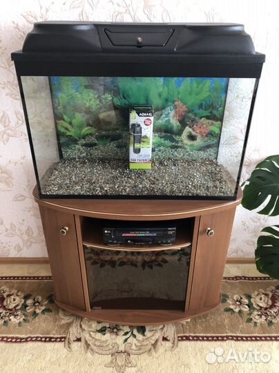 Аквариум