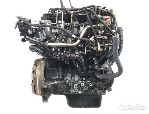 Двигатель Ford Fiesta 1.6 TDCi, hhda