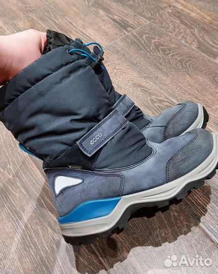 Сапоги ecco 35 зимние