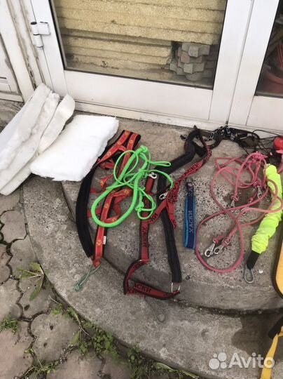 Нарты для собак