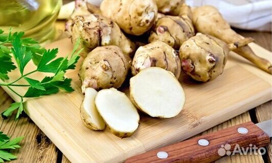 Тапинамбур