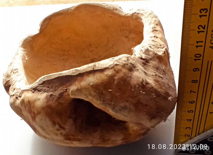 Ваза из капа