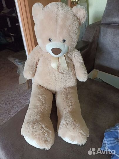 Плюшевый медведь