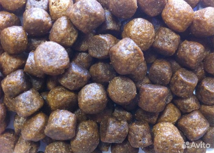 Сухой корм для собак ZooRing Adult Dog и Mini Acti