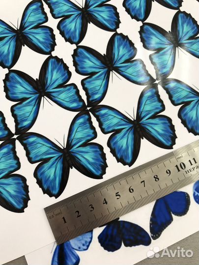 Бабочки для букета печать цветная