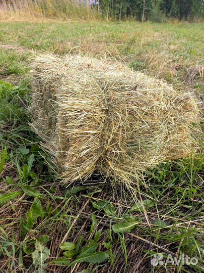 Сено в кипах