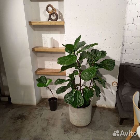 Горшки, Вазоны, Кашпо под заказ из бетона арт 120