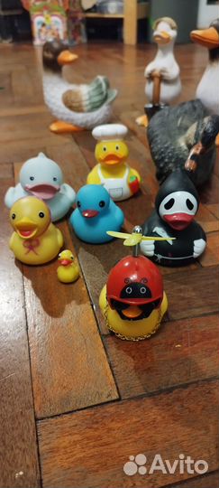 Коллекция уточек