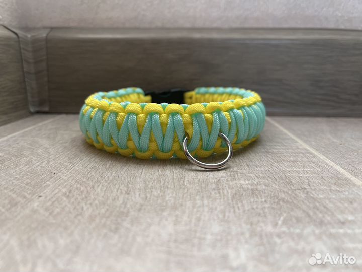 Ошейники для собак