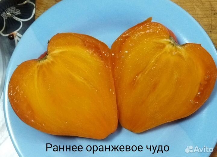 Семена томатов