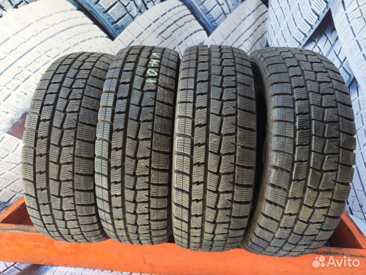 Dunlop Winter Maxx WM01 175/65 R14