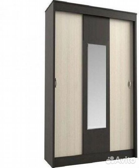 Шкаф-купе Бася Рекламный