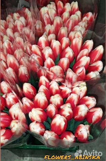 Тюльпаны, букеты