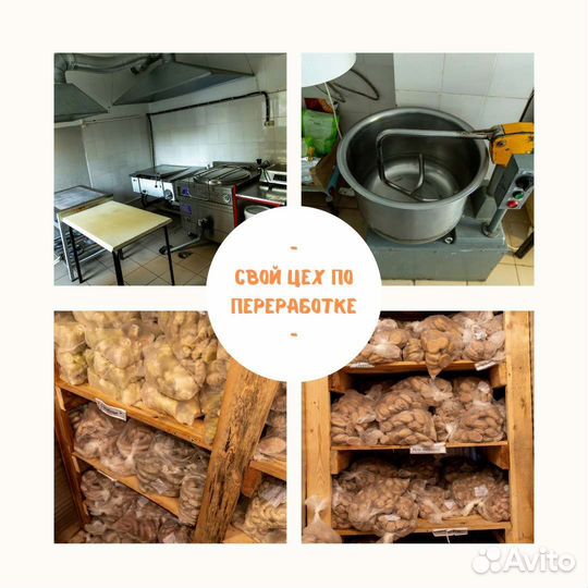 Опытный фермер ищет инвестора