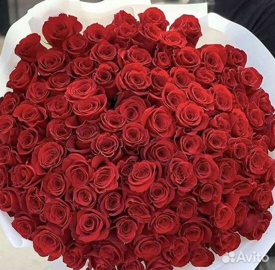 Высокие розы, букеты, цветы Доставка