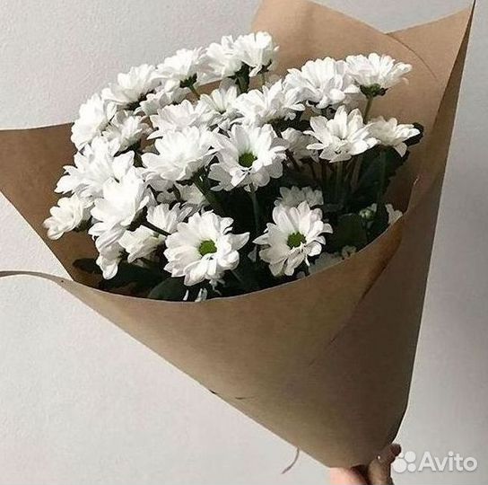 Хризантема Доставка цветов Букеты
