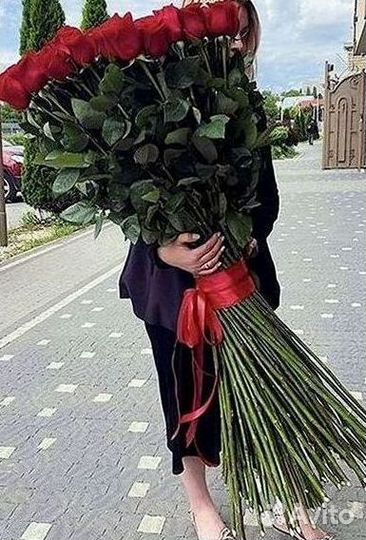 Розы гиганты 140 150 160 170 180 200