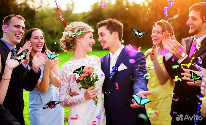 Салют из 10 Живых Тропических Бабочек с/б-11