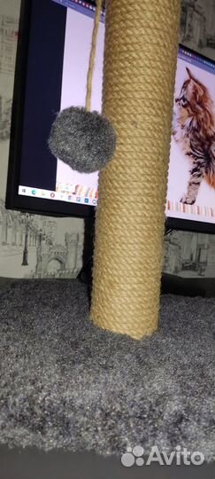 Когтеточка для котов и кошек