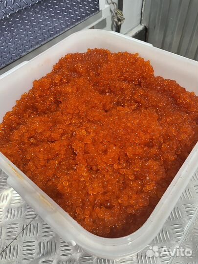 Икра красная Кета 2023