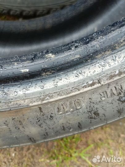 Sava Eskimo HP 215/55 R17