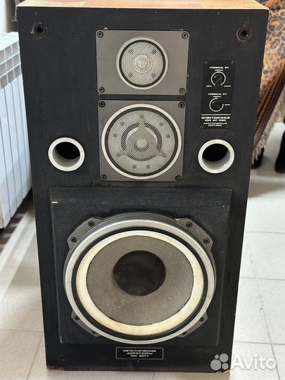 Колонки Электроника 100ас-060