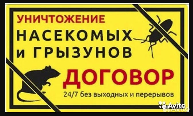 Уничтожение клопов тараканов клещей Йошкар-Ола