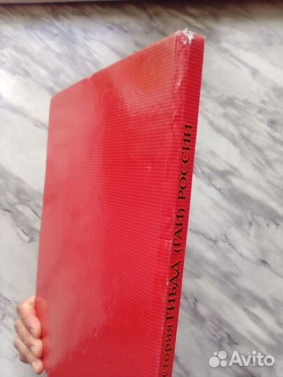 Книга История гибдд России