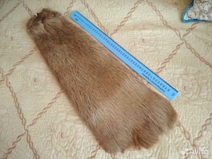 Шкурка нутрии