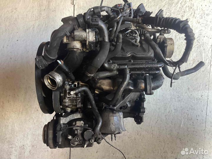Двигатель Volkswagen Passat BDG