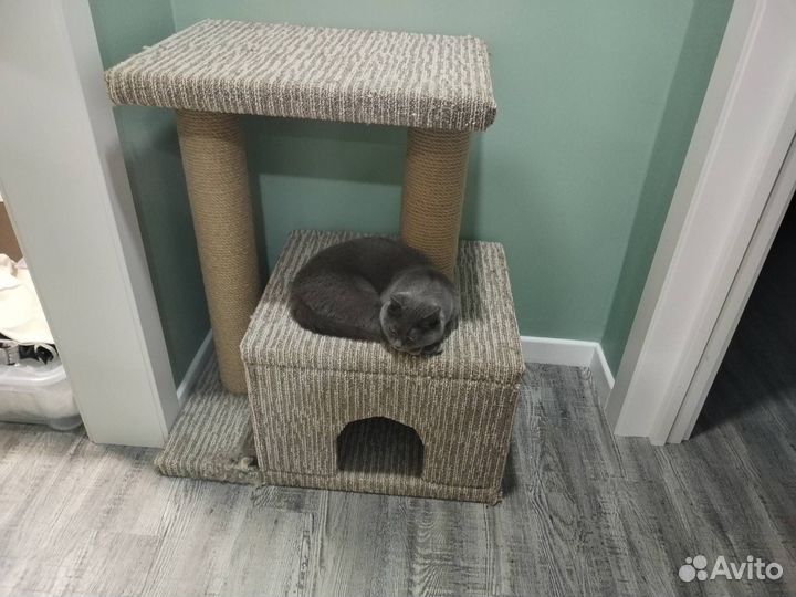 Домик для кошки большой и качественный