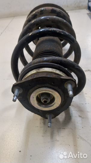 Амортизатор подвески Ford Transit (Tourneo) Custom 2014, 2015