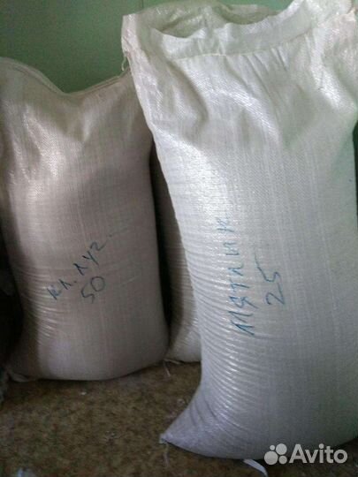 Семена газонной травы