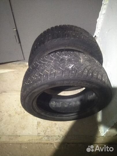 Nokian Tyres Hakkapeliitta 10 205/55 R16