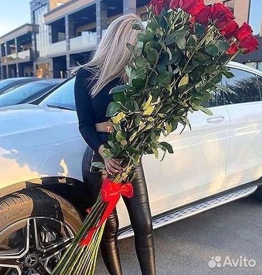 Розы гиганты 140 150 160 170 180 200