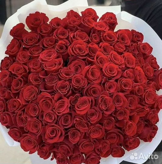 Высокие Розы Гиганты Доставка Круглосуточно