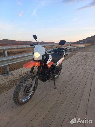 Racer panther 250