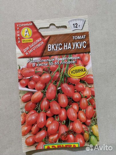 Рассада помидор